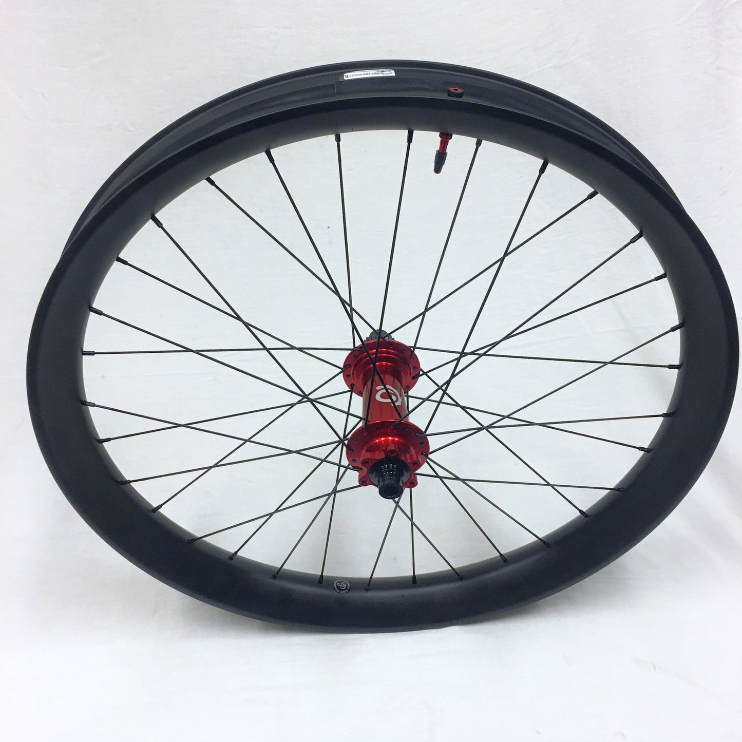Custom 26" FAT i9 Nextie Black Eagle