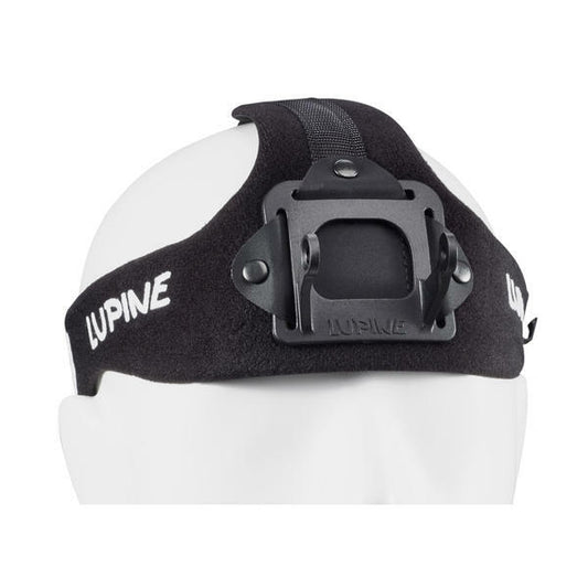 Lupine Wilma otsapanta HD