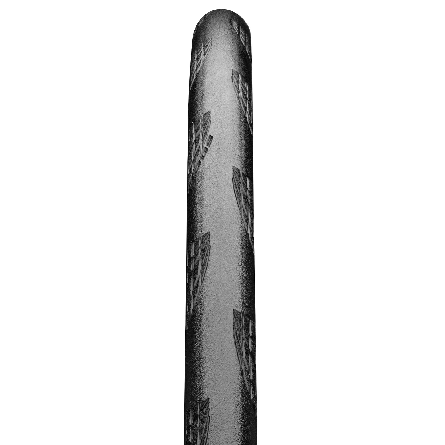 CONTINENTAL GP5000 AllSeason TR musta tubeless