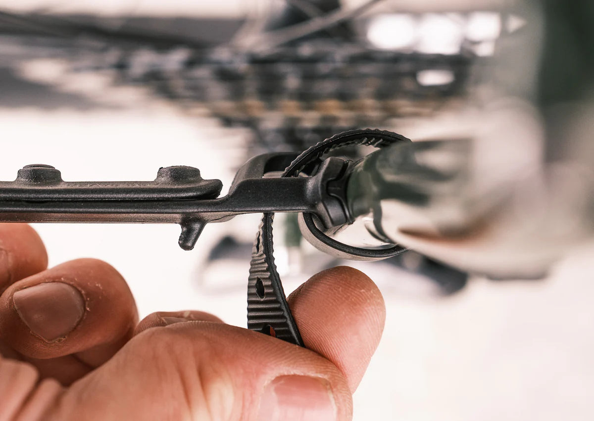 Ass Saver Win Wing MTB Stealth