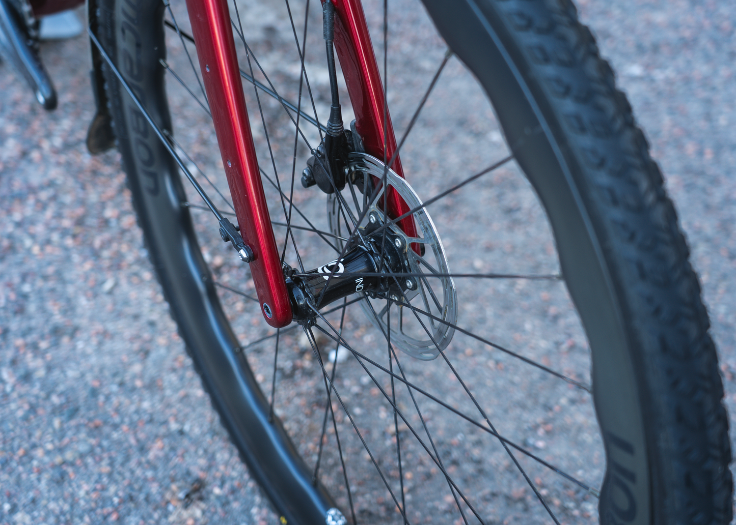 Fara F/All-Road - Cycled Shop Edition '24 (demopyörä, L/56 cm)