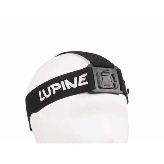 Lupine Wilma otsapanta Frontclik